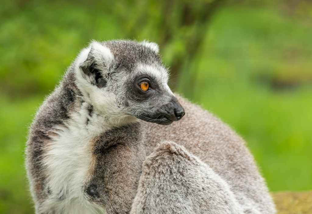Madagascar Travel Guide