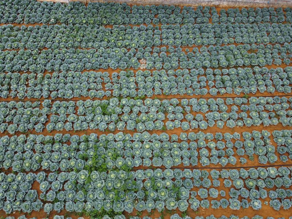 Annual Percentage Yield (APY)&nbsp;Explained