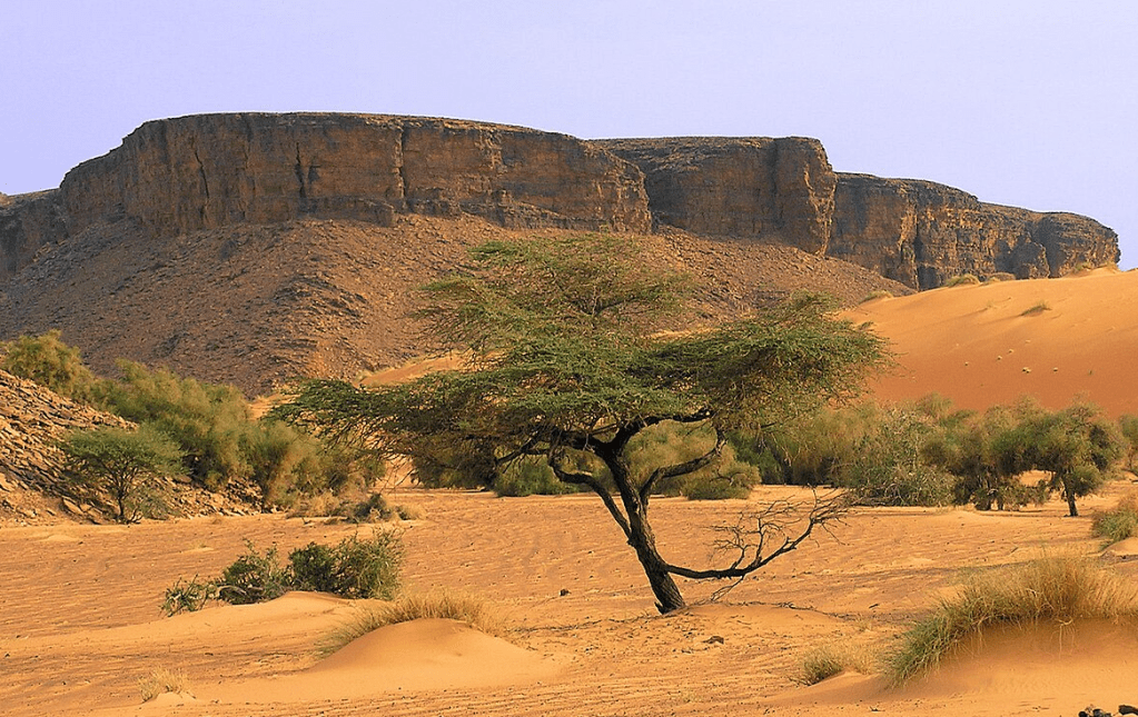Mauritania Travel Guide