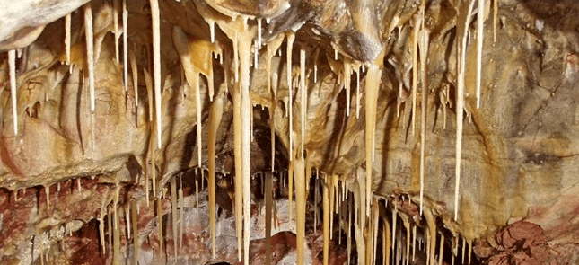 Wind Cave National&nbsp;Park